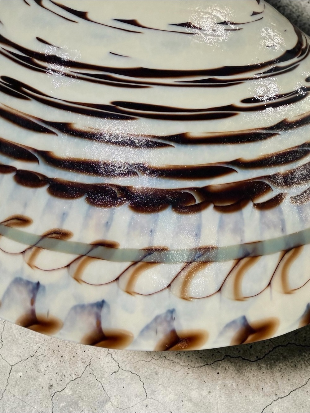Yalos Murano Fornace Ferro Tuareg Iridescent Nautilus Shell Glass Bowl 20” - Picture 6 of 14